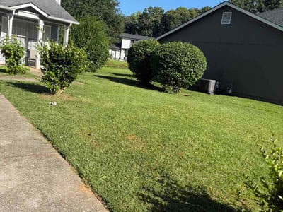 Lawn Care service in Englewood, 07631