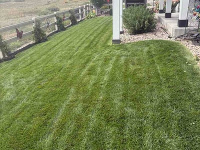 Lawn Care service in Bronx, 10462