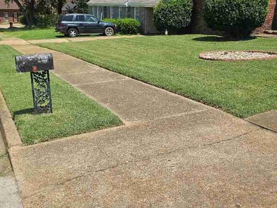 Lawn Care service in Johnson City, 37604