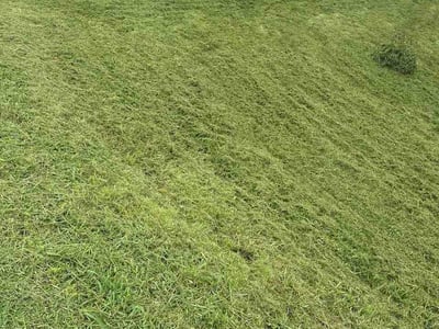Lawn Care service in Rogersville, 37857