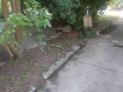 Leaf Removal service in Maple Grove, 55311