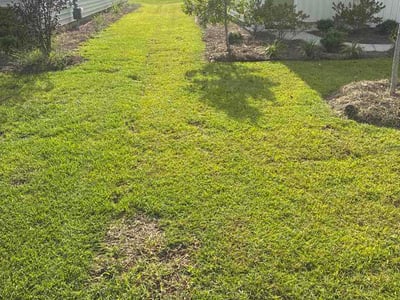 Lawn Care service in Okatie, 29909
