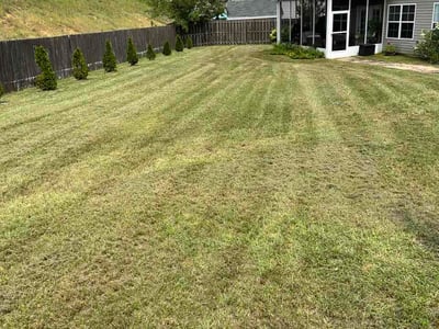 Lawn Care service in Aiken, 29801