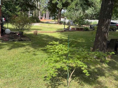 Lawn Care service in Aiken, 29801