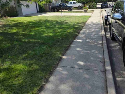 Lawn Care service in ,