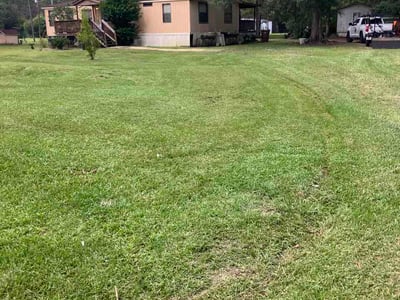Lawn Care service in Biloxi, 39530