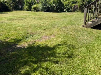 Lawn Care service in Biloxi, 39530