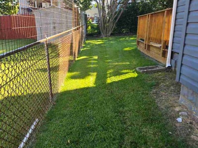 Lawn Care service in Capitol Heights, 20743