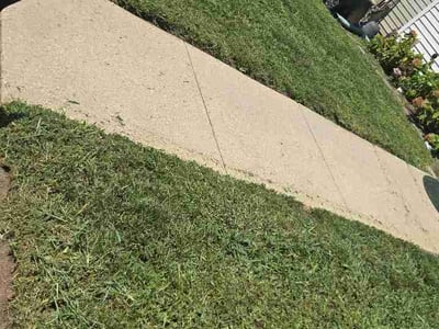 Lawn Care service in Capitol Heights, 20743