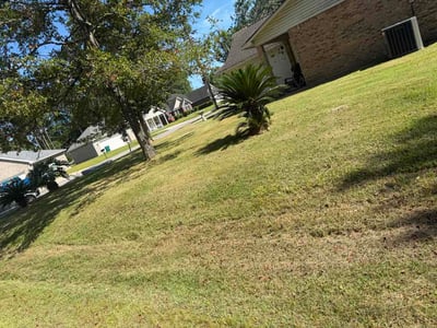 Lawn Care service in Moss Point, 39563