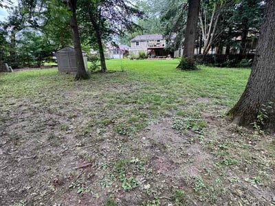Leaf Removal service in Grove City, 43123
