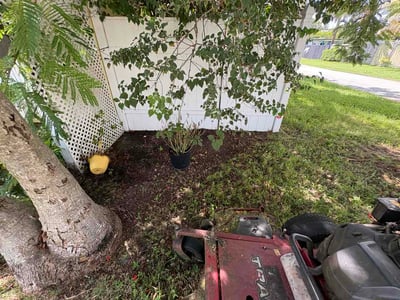 Leaf Removal service in Lakeland, 33801