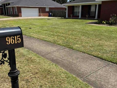 Lawn Care service in Orange Beach, 36561