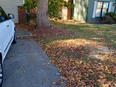 Leaf Removal service in Greensboro, 27401