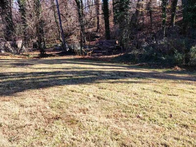 Leaf Removal service in Greensboro, 27401