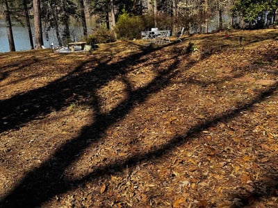 Leaf Removal service in Greensboro, 27401