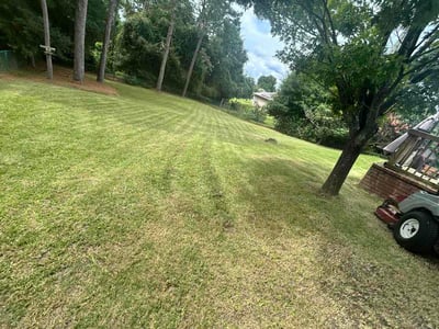 Lawn Care service in Crestview, 32536