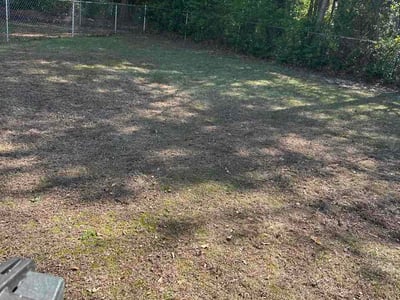 Leaf Removal service in Greensboro, 27401