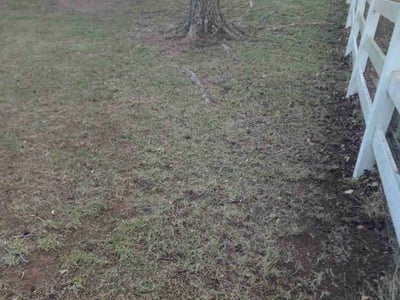 Leaf Removal service in Greensboro, 27401