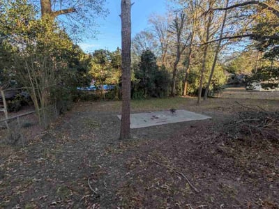 Leaf Removal service in Greensboro, 27401