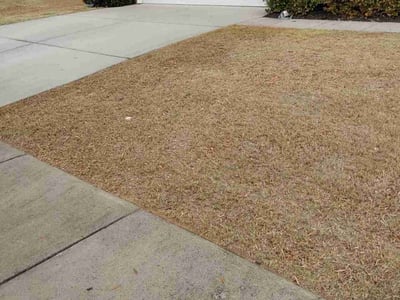 Leaf Removal service in Greensboro, 27401