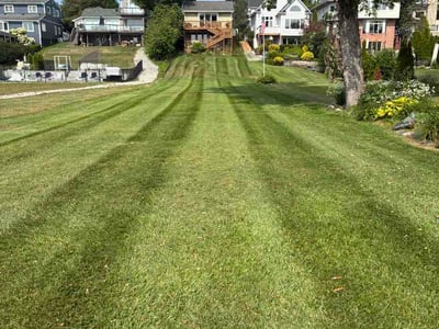 Lawn Care service in Commerce Township, 48390