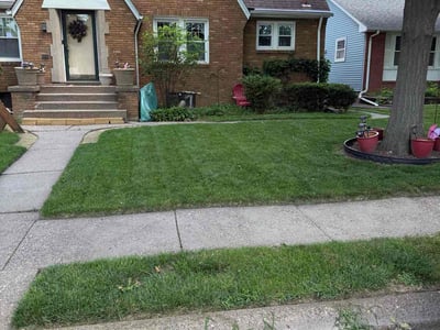 Lawn Care service in East Moline, 61244