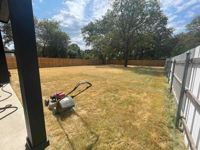 Leaf Removal service in Denton, 76201