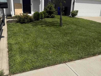 Lawn Care service in Canal Winchester, 43110