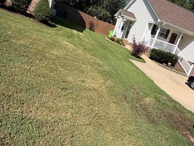 Leaf Removal service in Garner, 27529