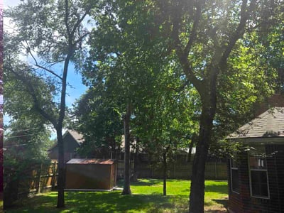 Lawn Care service in College Station, 77840