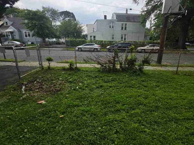 Leaf Removal service in Edison, 8817