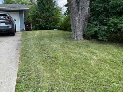 Lawn Care service in Urbana, 61801