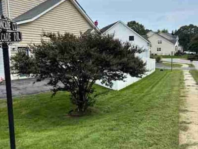 Lawn Care service in Upper Marlboro, 20772