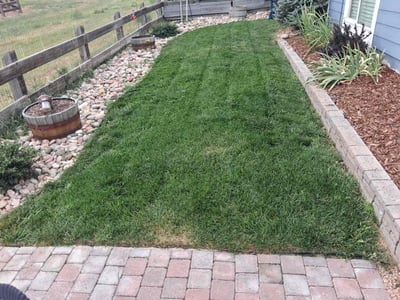 Lawn Care service in Louisville, 80027