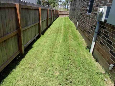 Lawn Care service in College Station, 77840