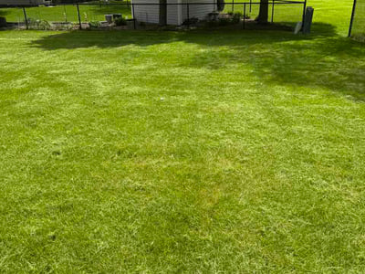 Lawn Care service in Urbana, 61801