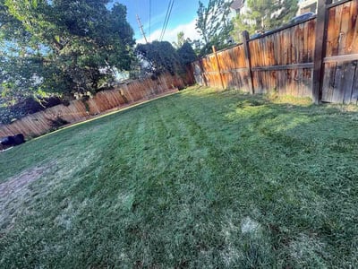 Lawn Care service in Longmont, 80501