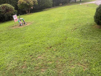 Lawn Care service in Charlottesville, 22902