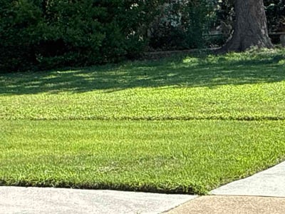 Lawn Care service in Charlottesville, 22902
