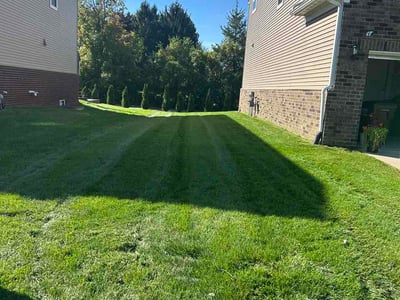 Lawn Care service in Ann Arbor, 48104