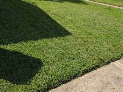 Lawn Care service in Lorton, 22079