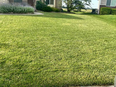 Lawn Care service in Newton, 67114
