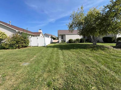 Lawn Care service in ,