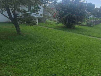 Lawn Care service in Saint Albans, 25177