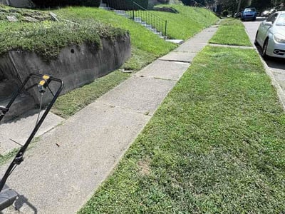 Lawn Care service in Mays Landing, 08330