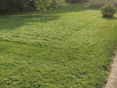 Lawn Care service in Champaign, 61820