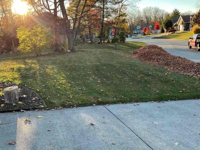 Leaf Removal service in Elkhart, 46516