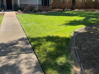 Lawn Care service in Chico, 95928