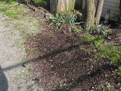 Leaf Removal service in Elkhart, 46516